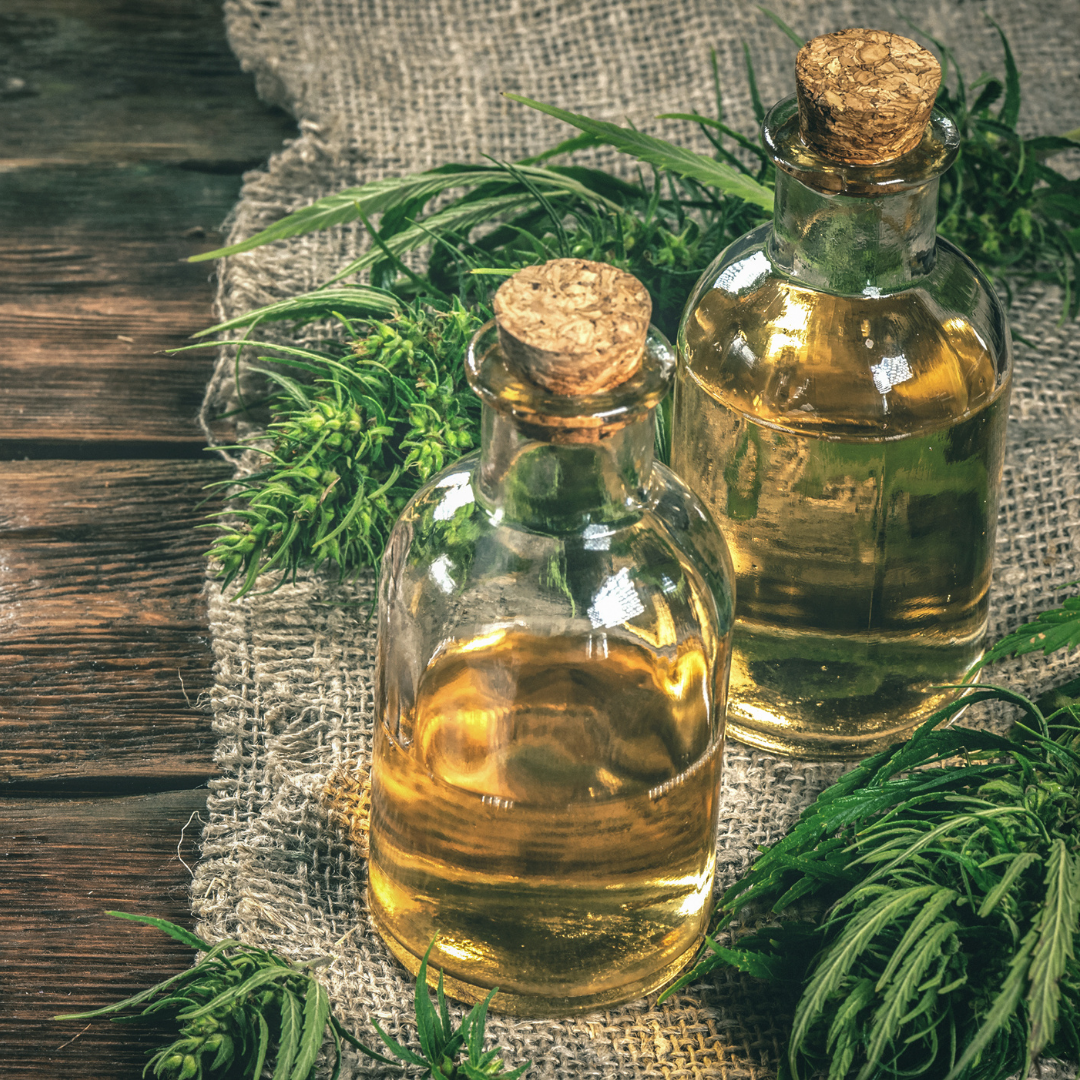 Does CBD Oil Affect the Immune System?