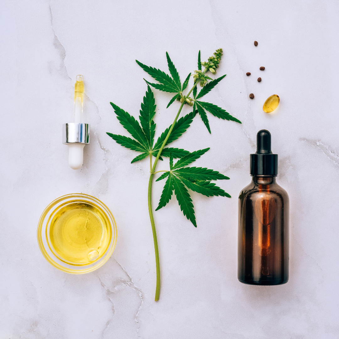 CBD and Cannabis: What Is CBD Good For, And Who Can Use It?